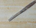 Hibolithes semisulcatus (M�NSTER 1830) - Bild &copy; FossNet FossilienStore